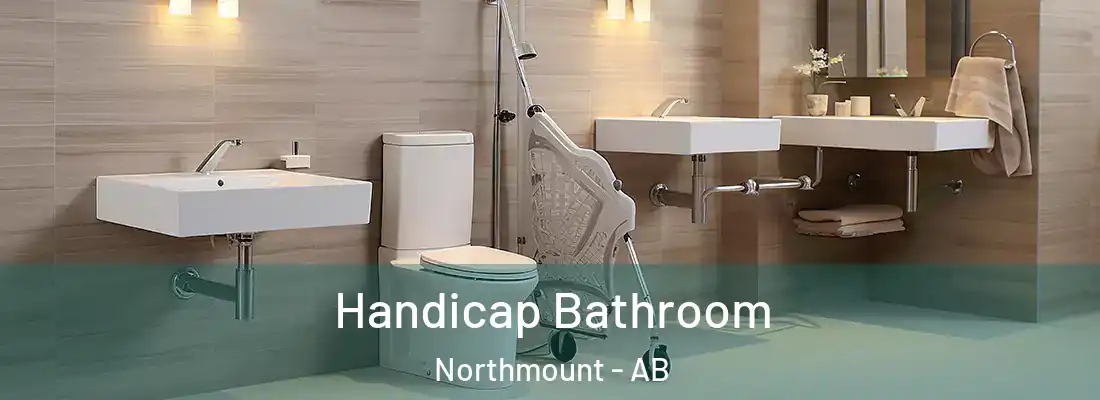  Handicap Bathroom Northmount - AB