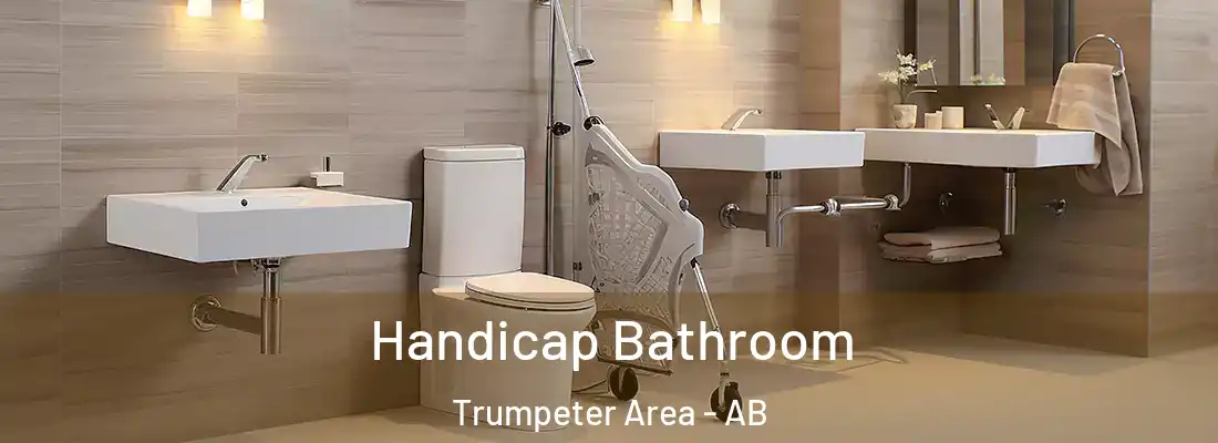  Handicap Bathroom Trumpeter Area - AB