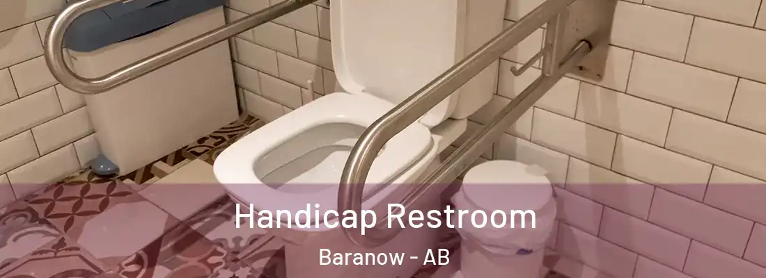  Handicap Restroom Baranow - AB