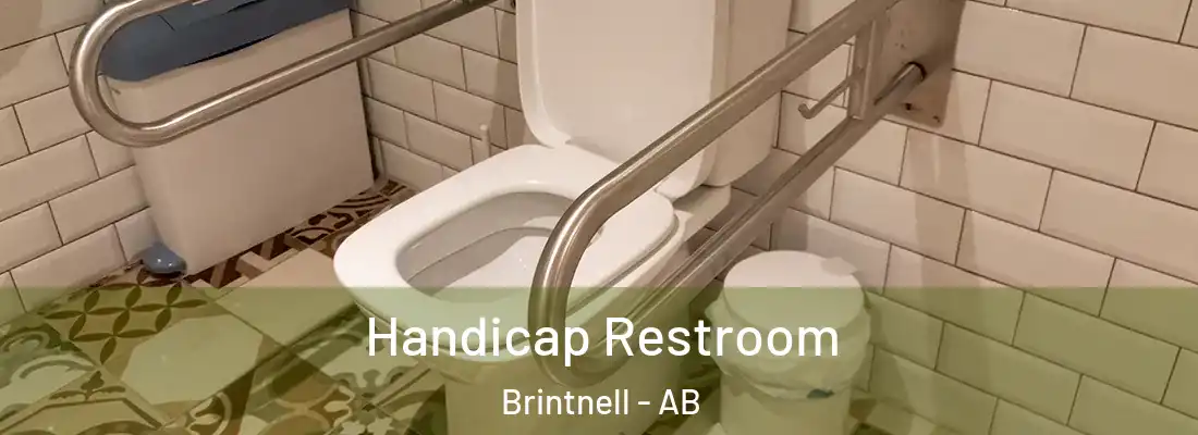  Handicap Restroom Brintnell - AB