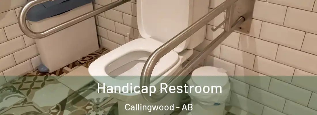  Handicap Restroom Callingwood - AB