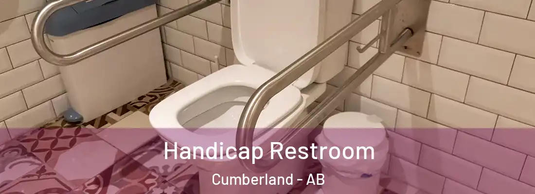  Handicap Restroom Cumberland - AB