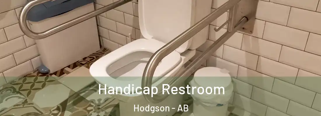  Handicap Restroom Hodgson - AB