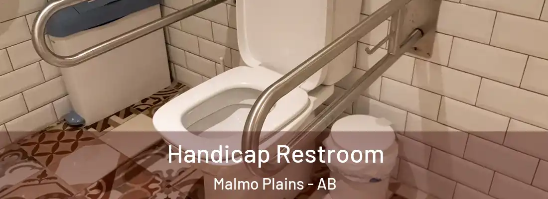  Handicap Restroom Malmo Plains - AB