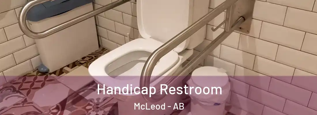  Handicap Restroom McLeod - AB