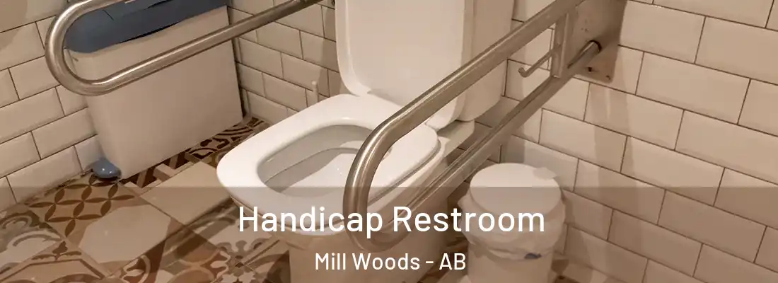  Handicap Restroom Mill Woods - AB