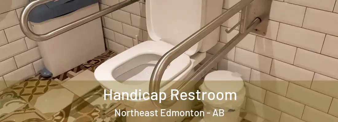  Handicap Restroom Northeast Edmonton - AB