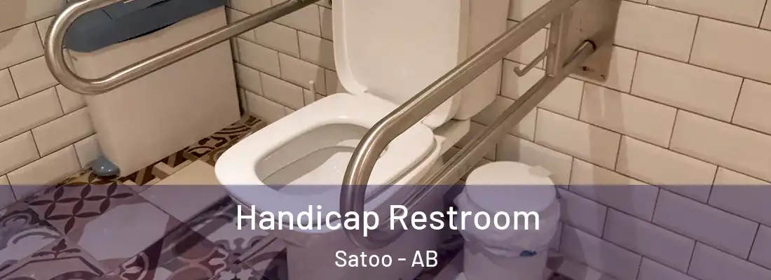  Handicap Restroom Satoo - AB
