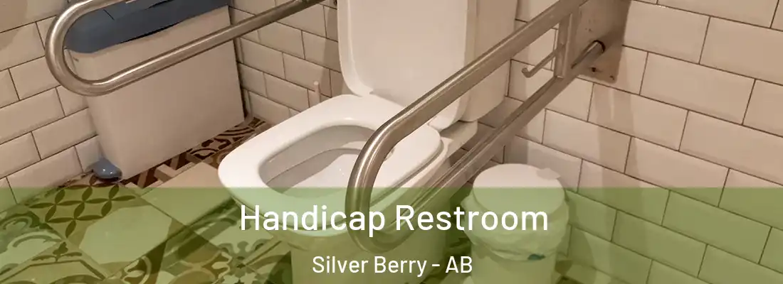  Handicap Restroom Silver Berry - AB