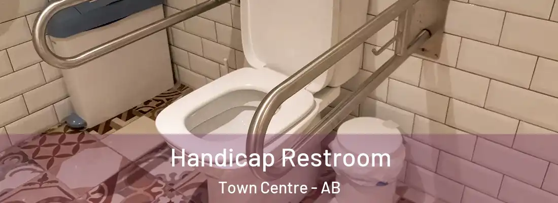 Handicap Restroom Town Centre - AB