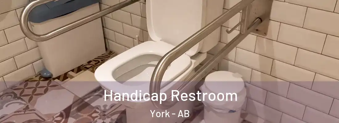  Handicap Restroom York - AB