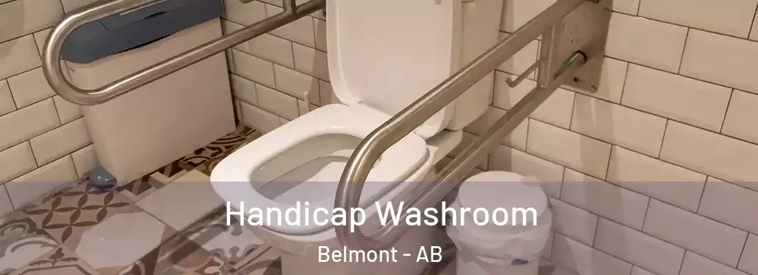  Handicap Washroom Belmont - AB