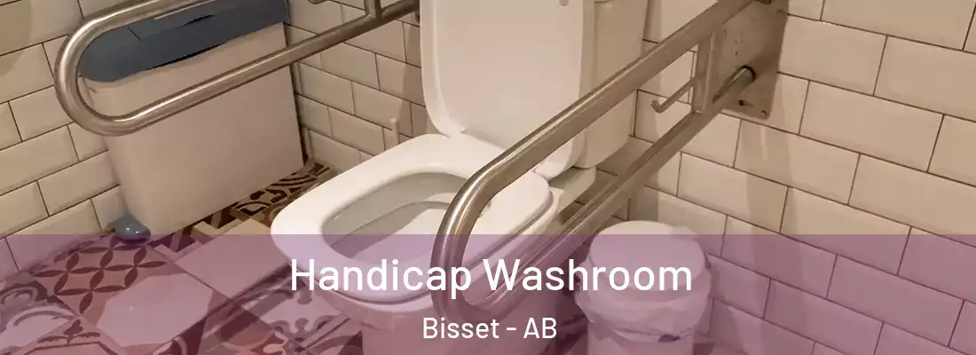  Handicap Washroom Bisset - AB