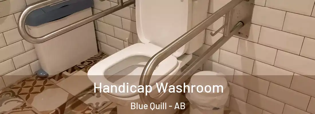  Handicap Washroom Blue Quill - AB
