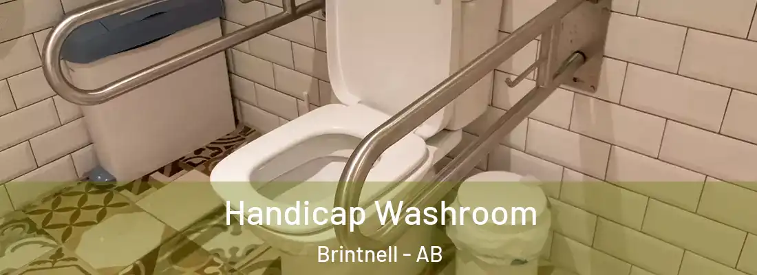  Handicap Washroom Brintnell - AB