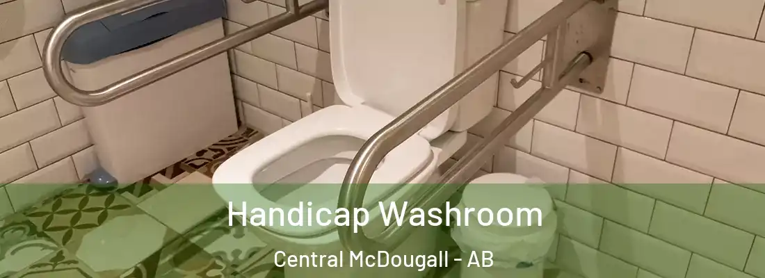  Handicap Washroom Central McDougall - AB