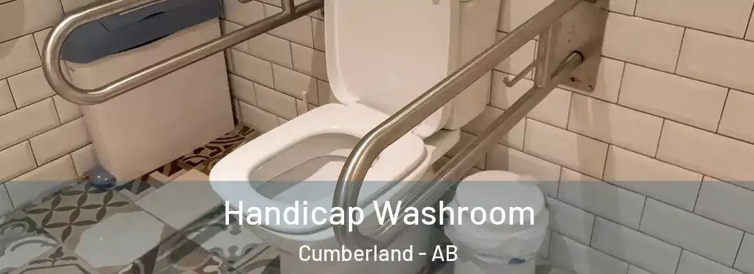  Handicap Washroom Cumberland - AB