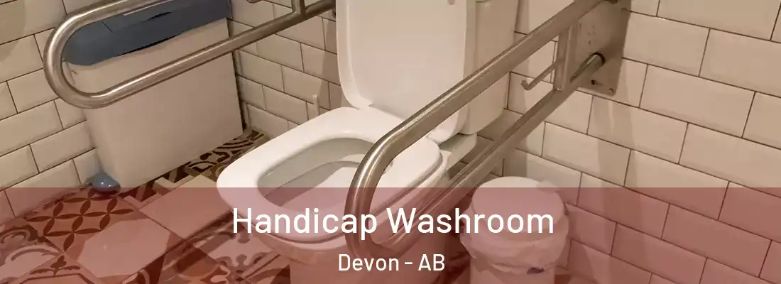  Handicap Washroom Devon - AB