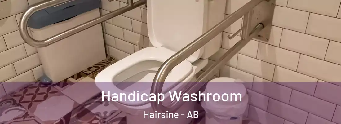  Handicap Washroom Hairsine - AB