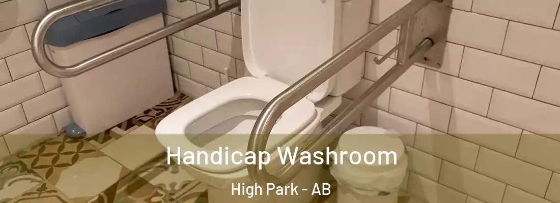  Handicap Washroom High Park - AB