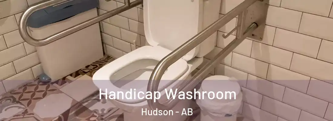  Handicap Washroom Hudson - AB