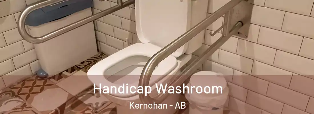  Handicap Washroom Kernohan - AB