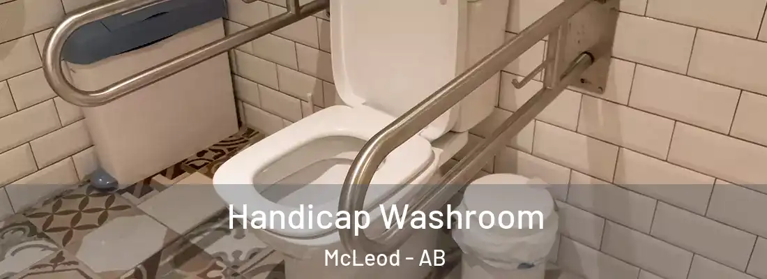 Handicap Washroom McLeod - AB