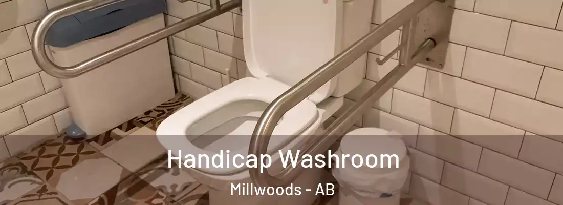  Handicap Washroom Millwoods - AB