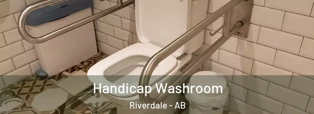  Handicap Washroom Riverdale - AB