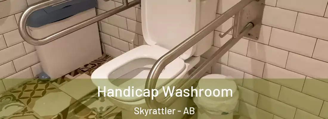  Handicap Washroom Skyrattler - AB