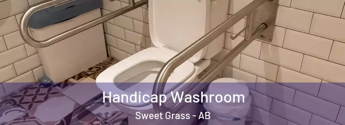  Handicap Washroom Sweet Grass - AB