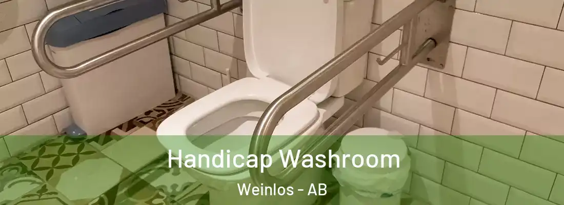  Handicap Washroom Weinlos - AB