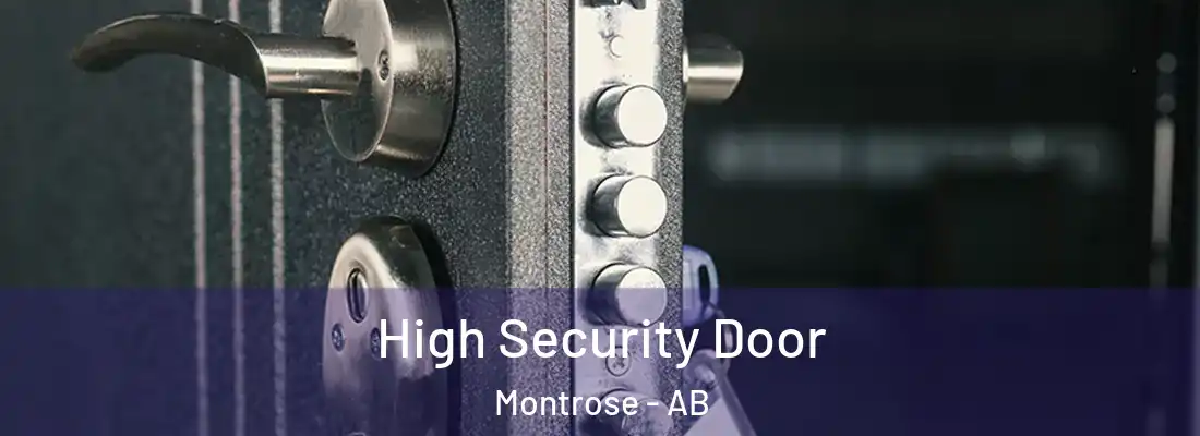  High Security Door Montrose - AB