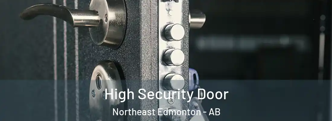  High Security Door Northeast Edmonton - AB