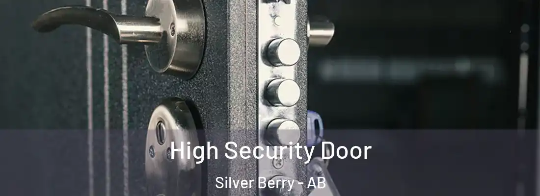  High Security Door Silver Berry - AB