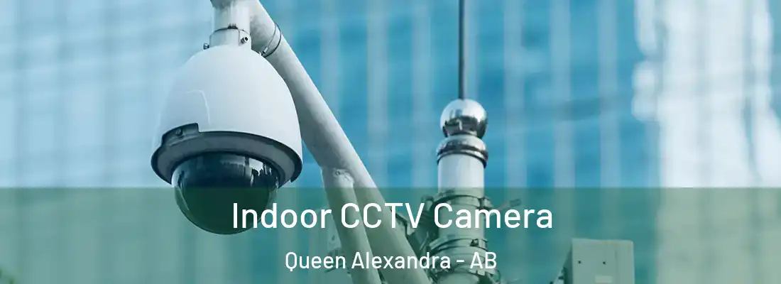  Indoor CCTV Camera Queen Alexandra - AB