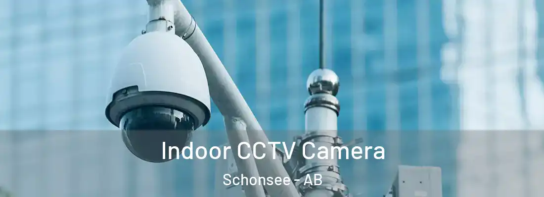  Indoor CCTV Camera Schonsee - AB