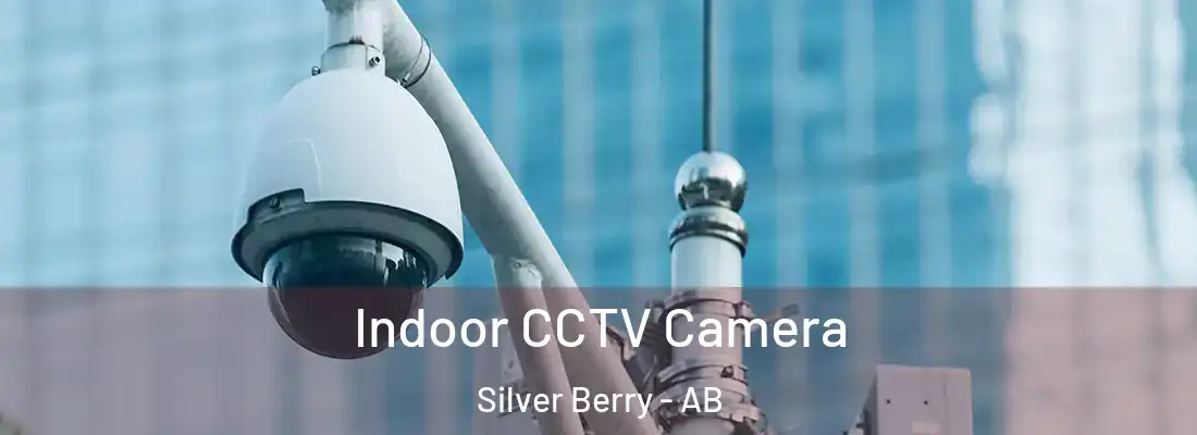  Indoor CCTV Camera Silver Berry - AB