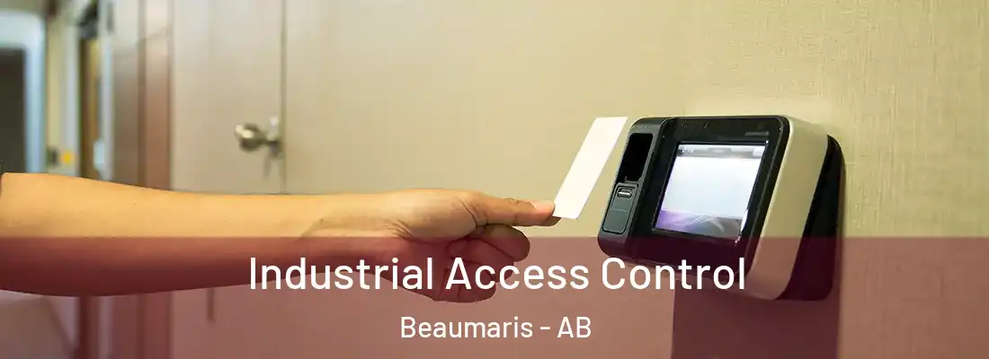  Industrial Access Control Beaumaris - AB