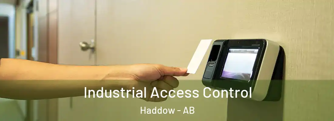  Industrial Access Control Haddow - AB