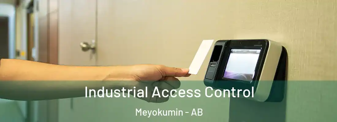  Industrial Access Control Meyokumin - AB