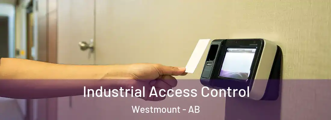  Industrial Access Control Westmount - AB
