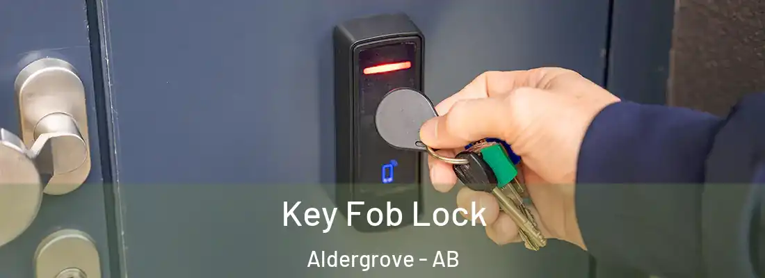  Key Fob Lock Aldergrove - AB