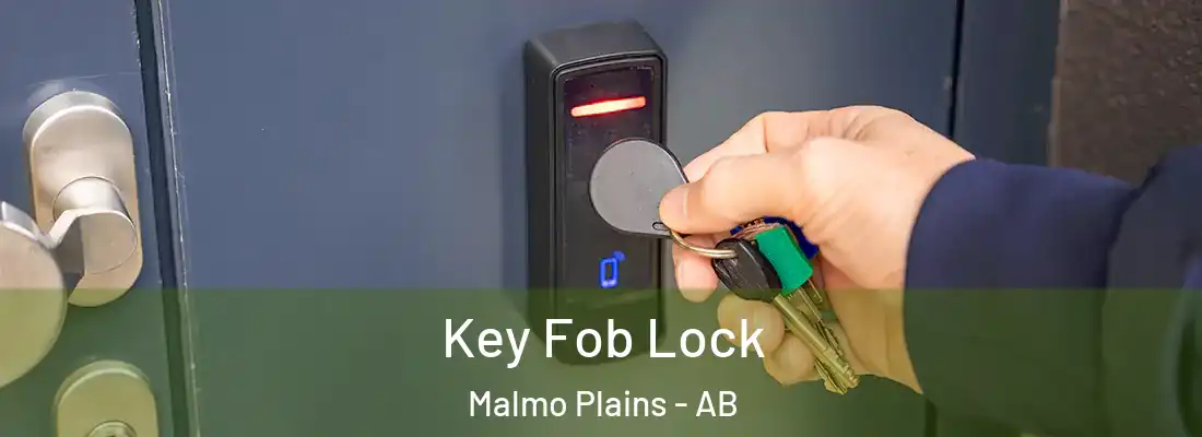  Key Fob Lock Malmo Plains - AB