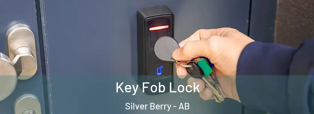  Key Fob Lock Silver Berry - AB