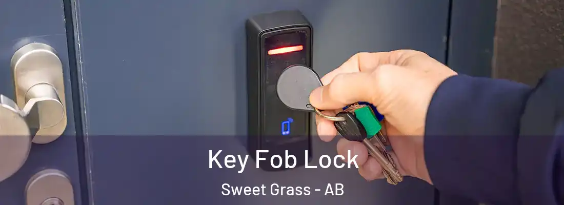  Key Fob Lock Sweet Grass - AB