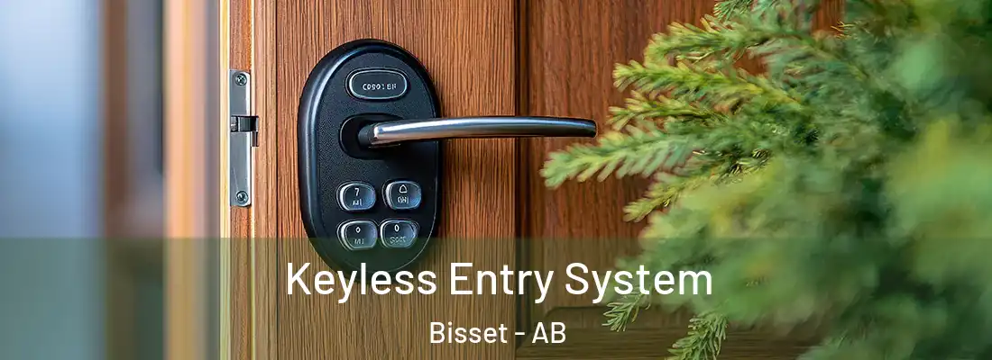  Keyless Entry System Bisset - AB