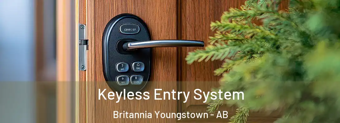  Keyless Entry System Britannia Youngstown - AB