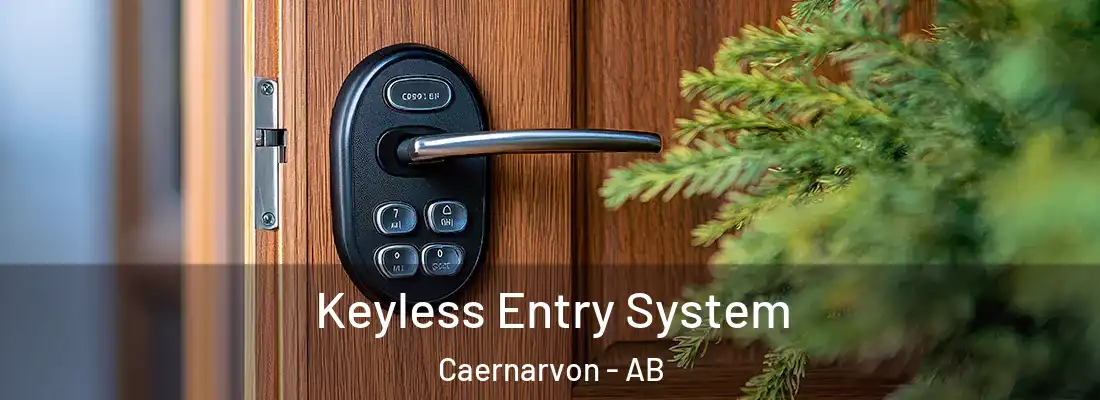  Keyless Entry System Caernarvon - AB
