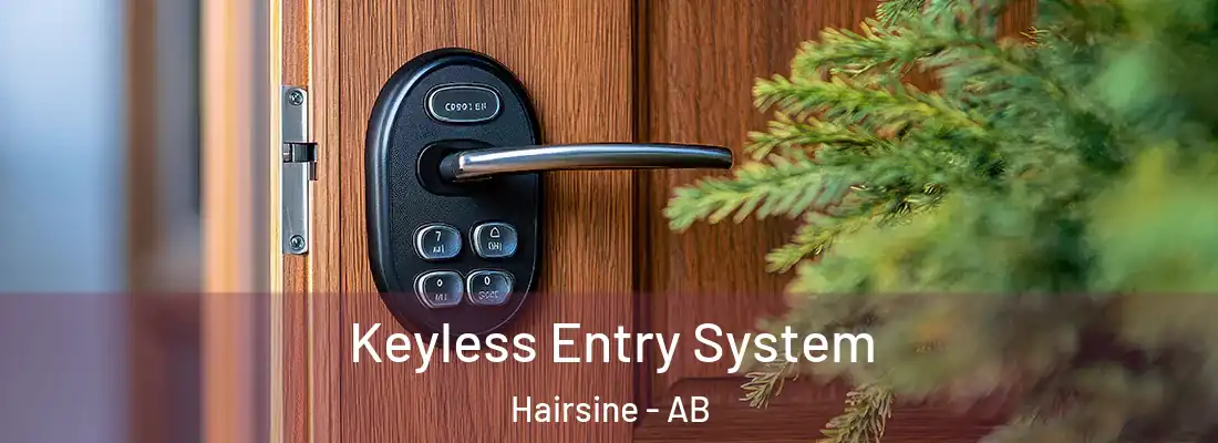  Keyless Entry System Hairsine - AB